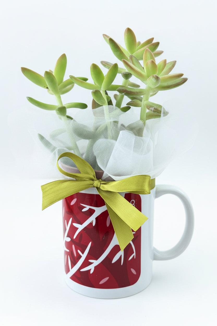 Tazza Mug con Piantina Solidale – Regalo Ecologico a Sostegno della Ricerca