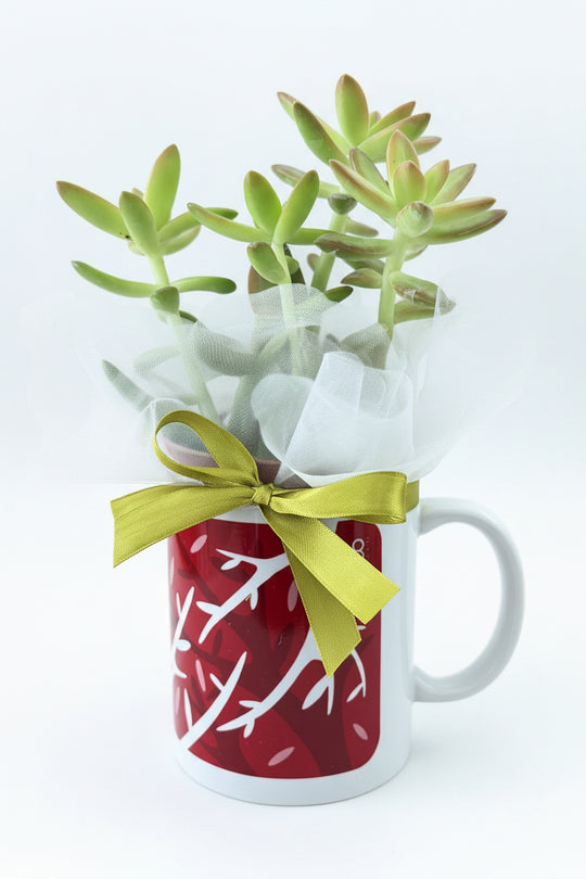 Tazza Mug con Piantina Solidale – Regalo Ecologico a Sostegno della Ricerca